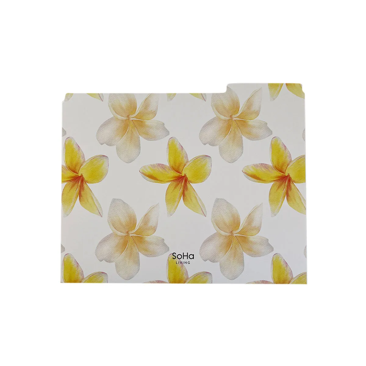 Aloha File Folders, Set of 3
