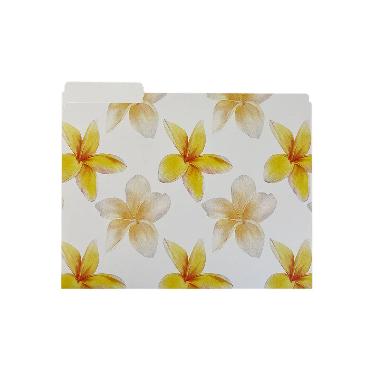Aloha File Folders, Set of 3