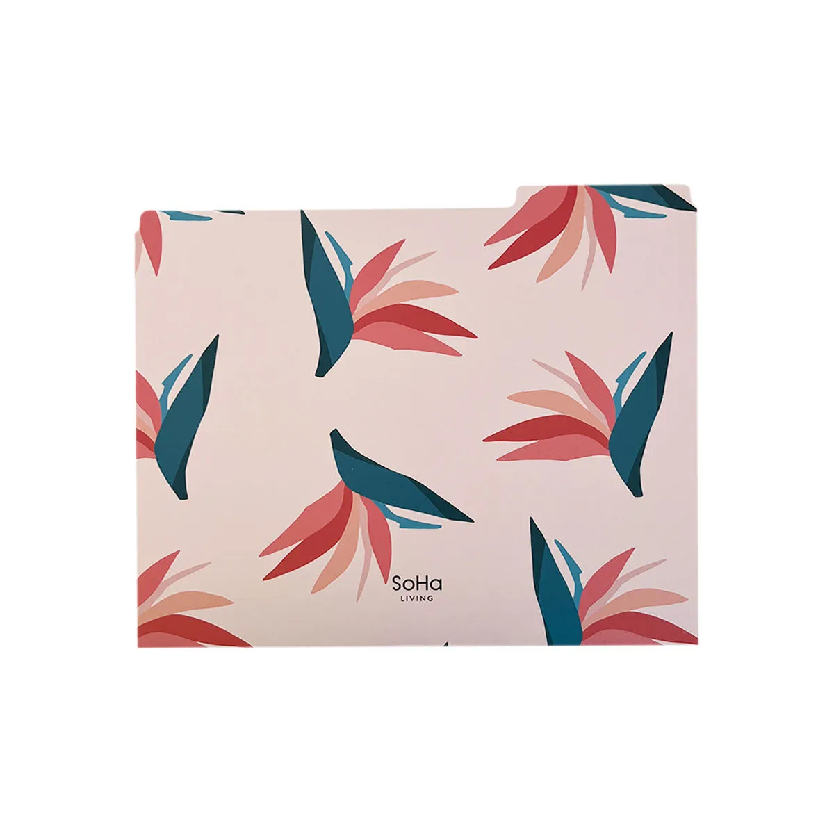Birds of Paradise File Folders, Set of 3