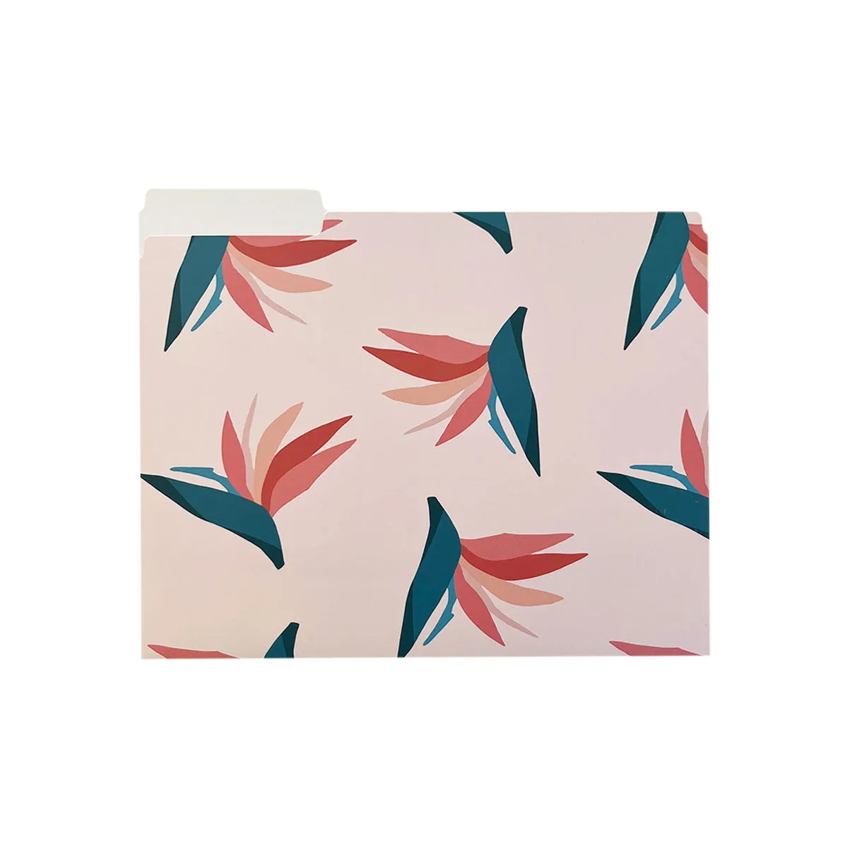 Birds of Paradise File Folders, Set of 3