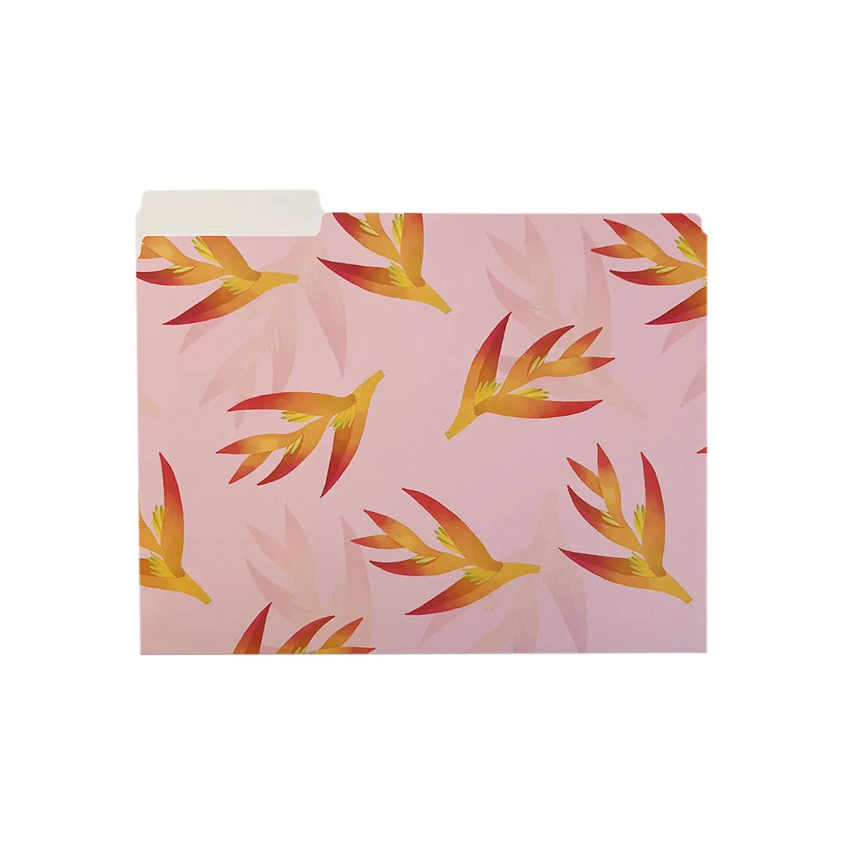 Birds of Paradise File Folders, Set of 3
