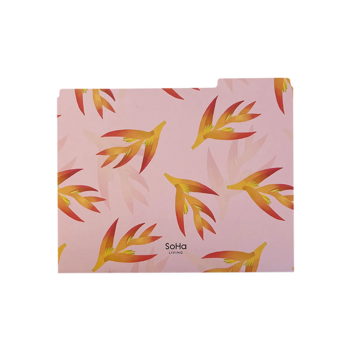 Birds of Paradise File Folders, Set of 3