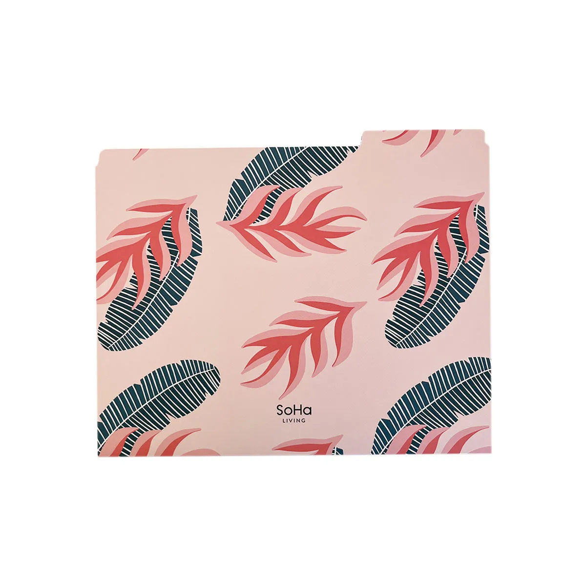 Birds of Paradise File Folders, Set of 3