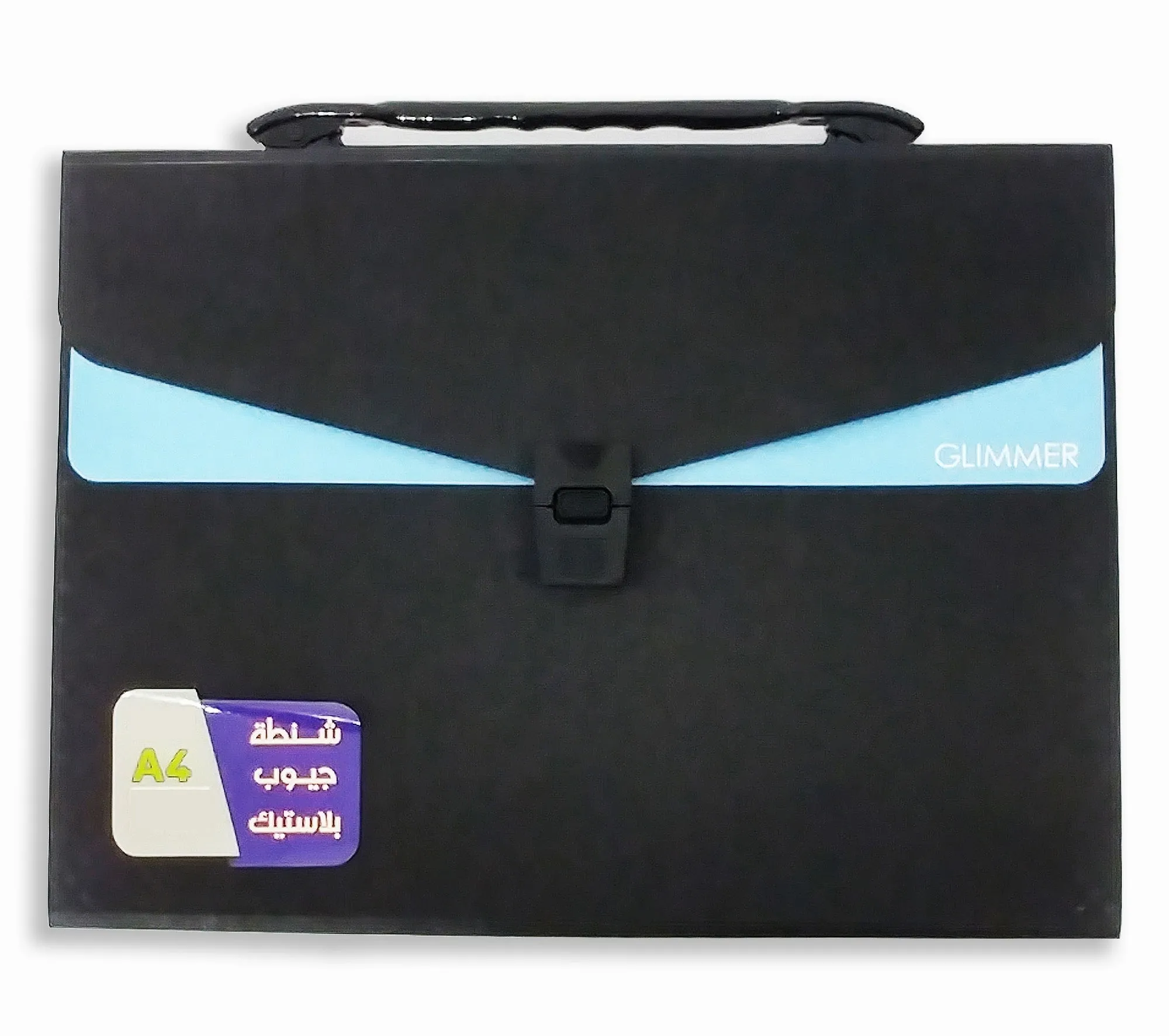 Expanding File A4 12 Pockets With Handle
