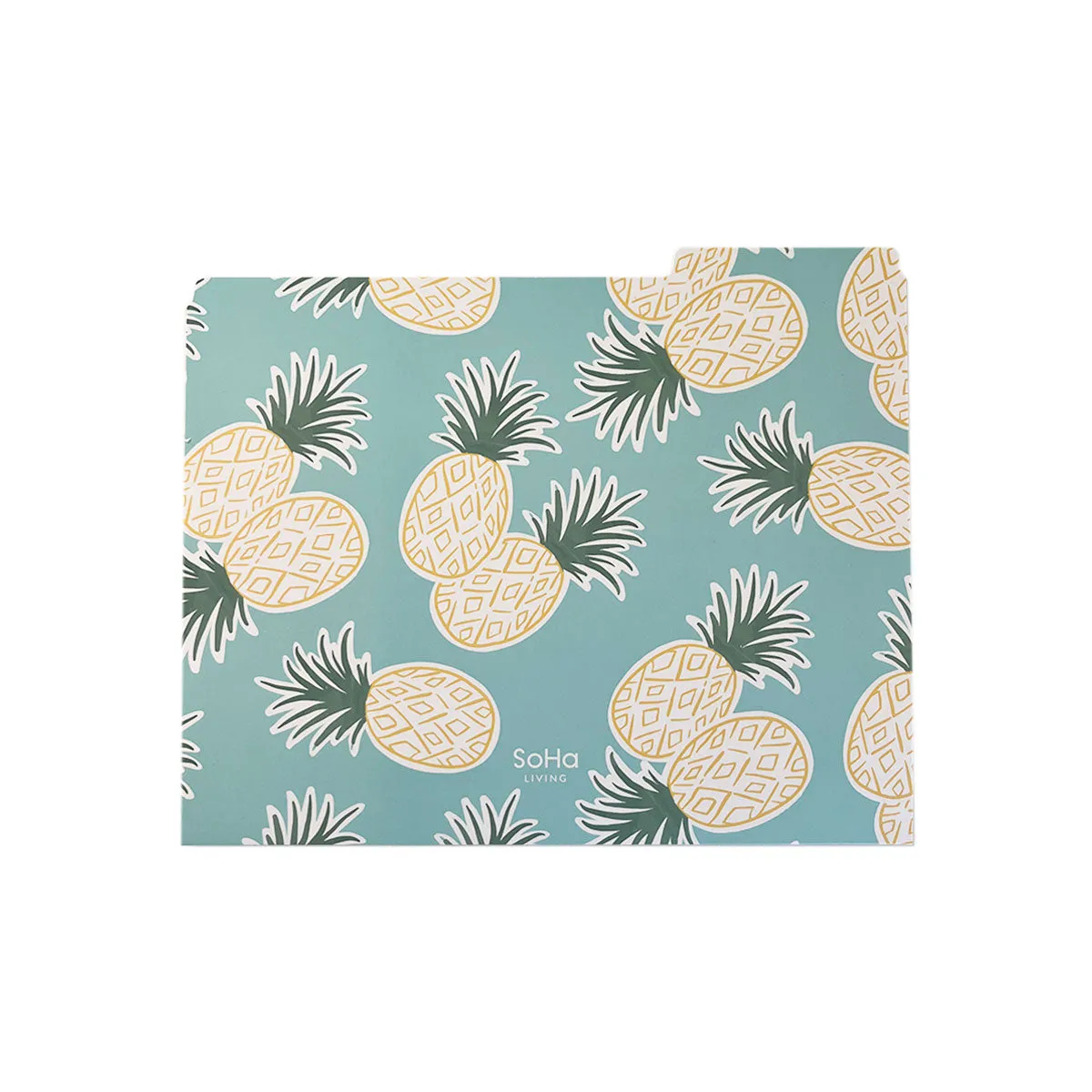 Hawaii Pineapples File Folders, Set of 3