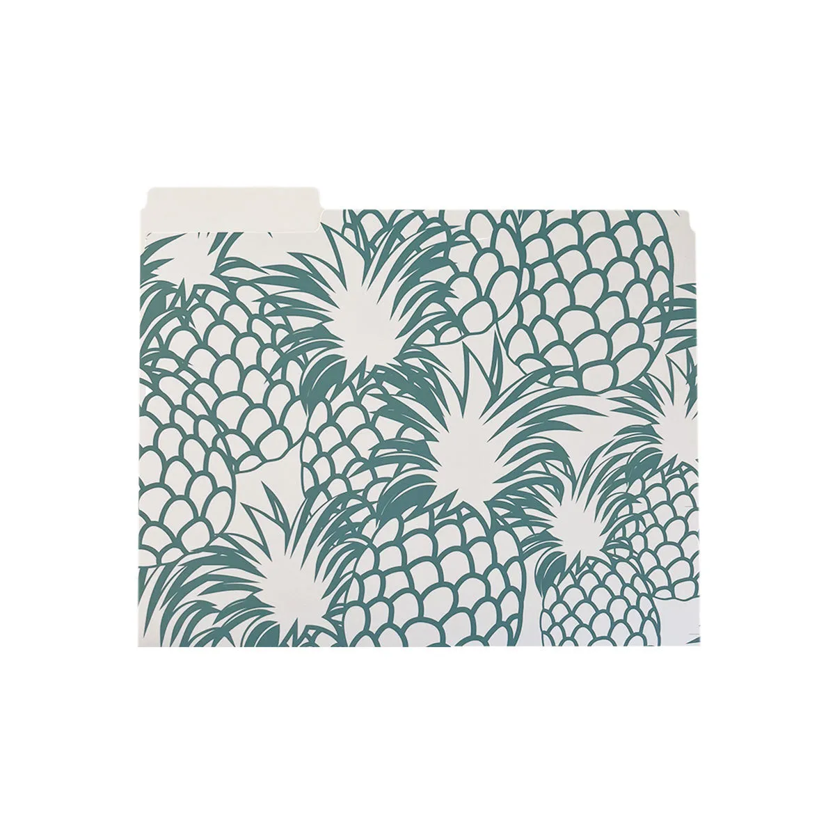 Hawaii Pineapples File Folders, Set of 3