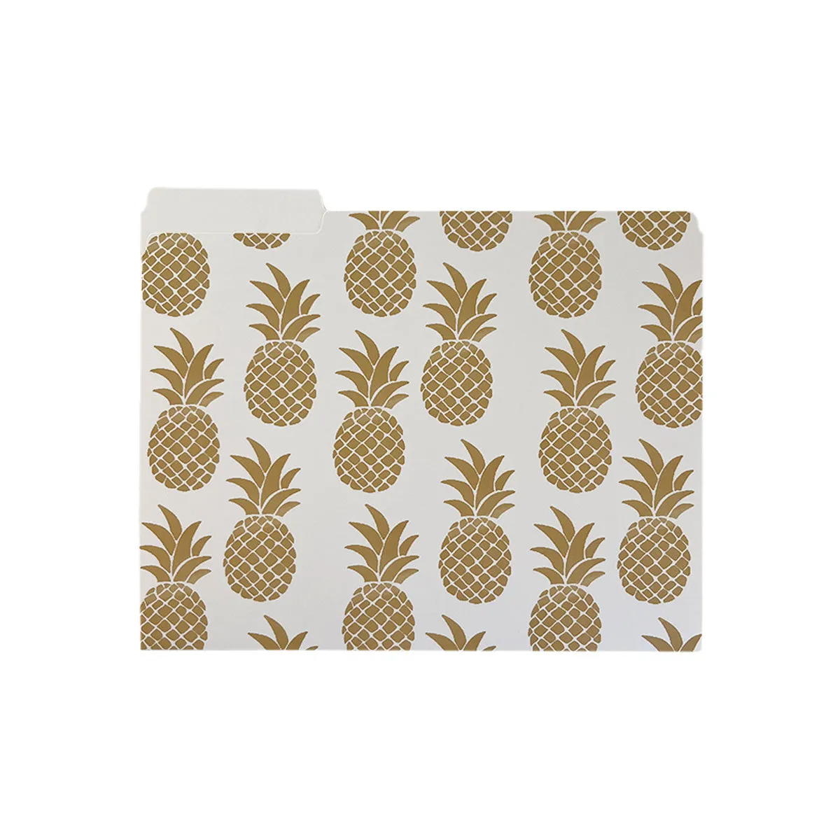 Hawaii Pineapples File Folders, Set of 3