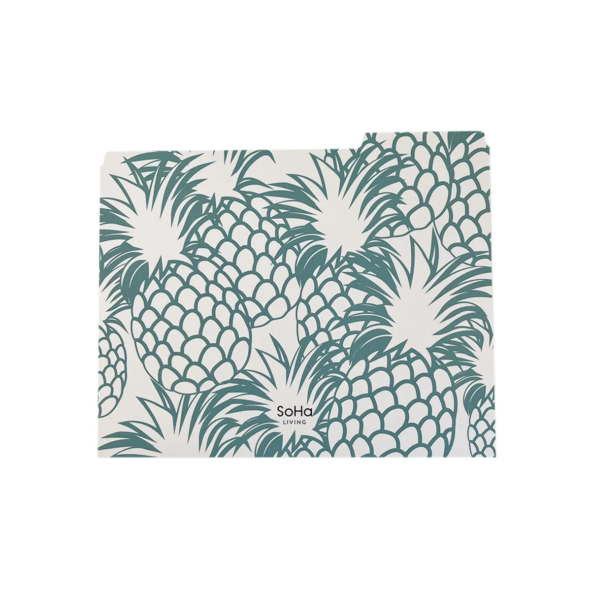 Hawaii Pineapples File Folders, Set of 3
