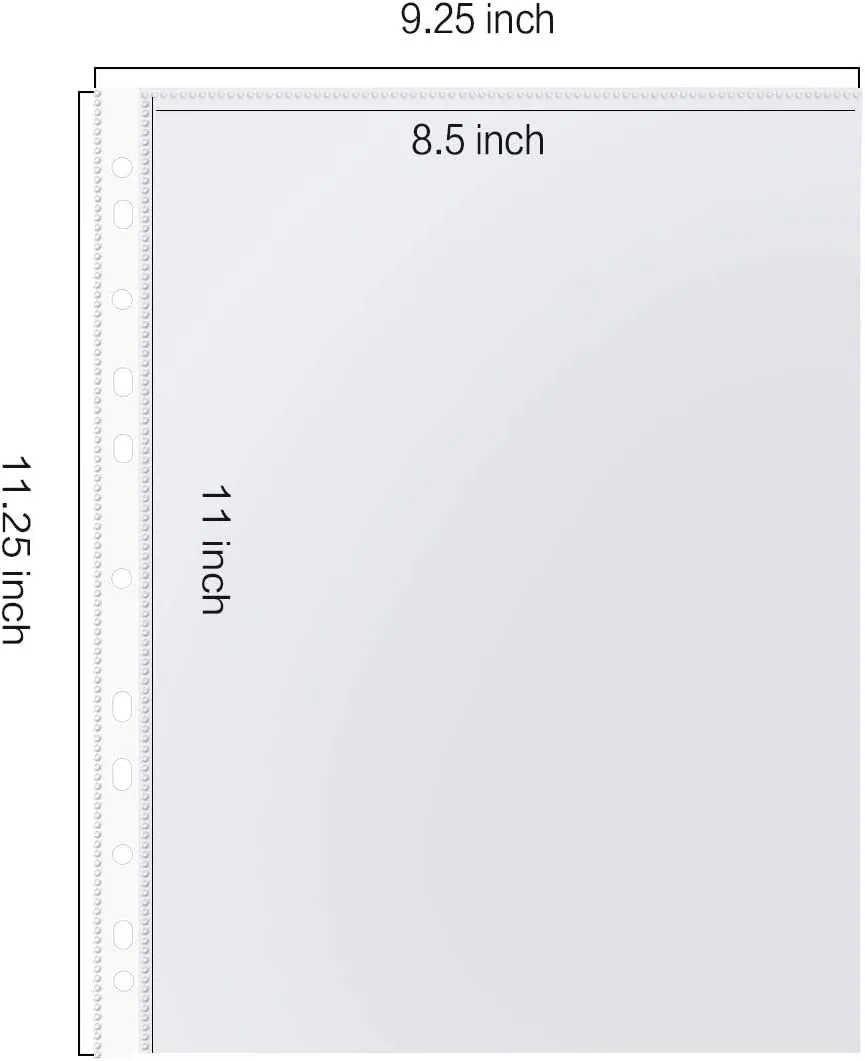 PANDRI Sheet Protector, Clear Heavy Duty Plastic Page Protectors, Reinforced for 3 Ring Binders