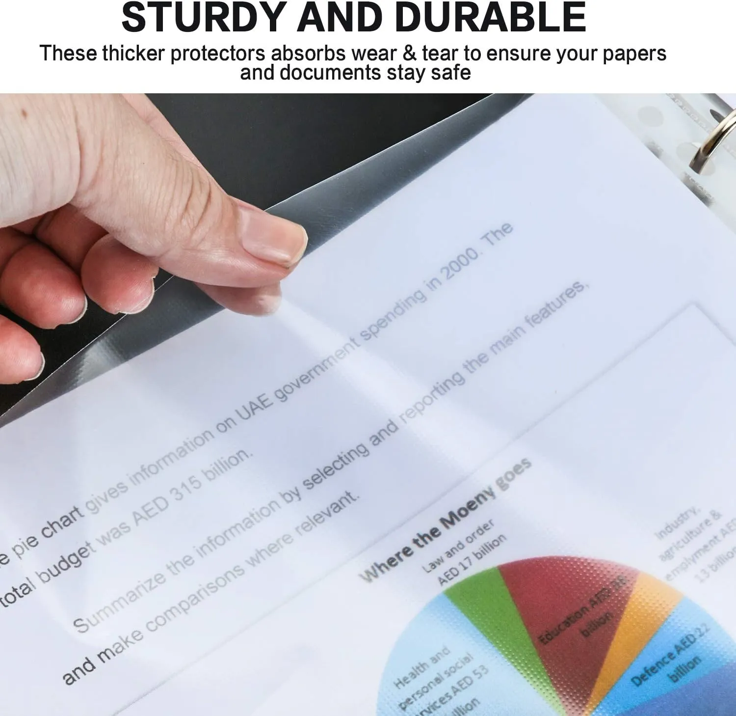 PANDRI Sheet Protector, Clear Heavy Duty Plastic Page Protectors, Reinforced for 3 Ring Binders
