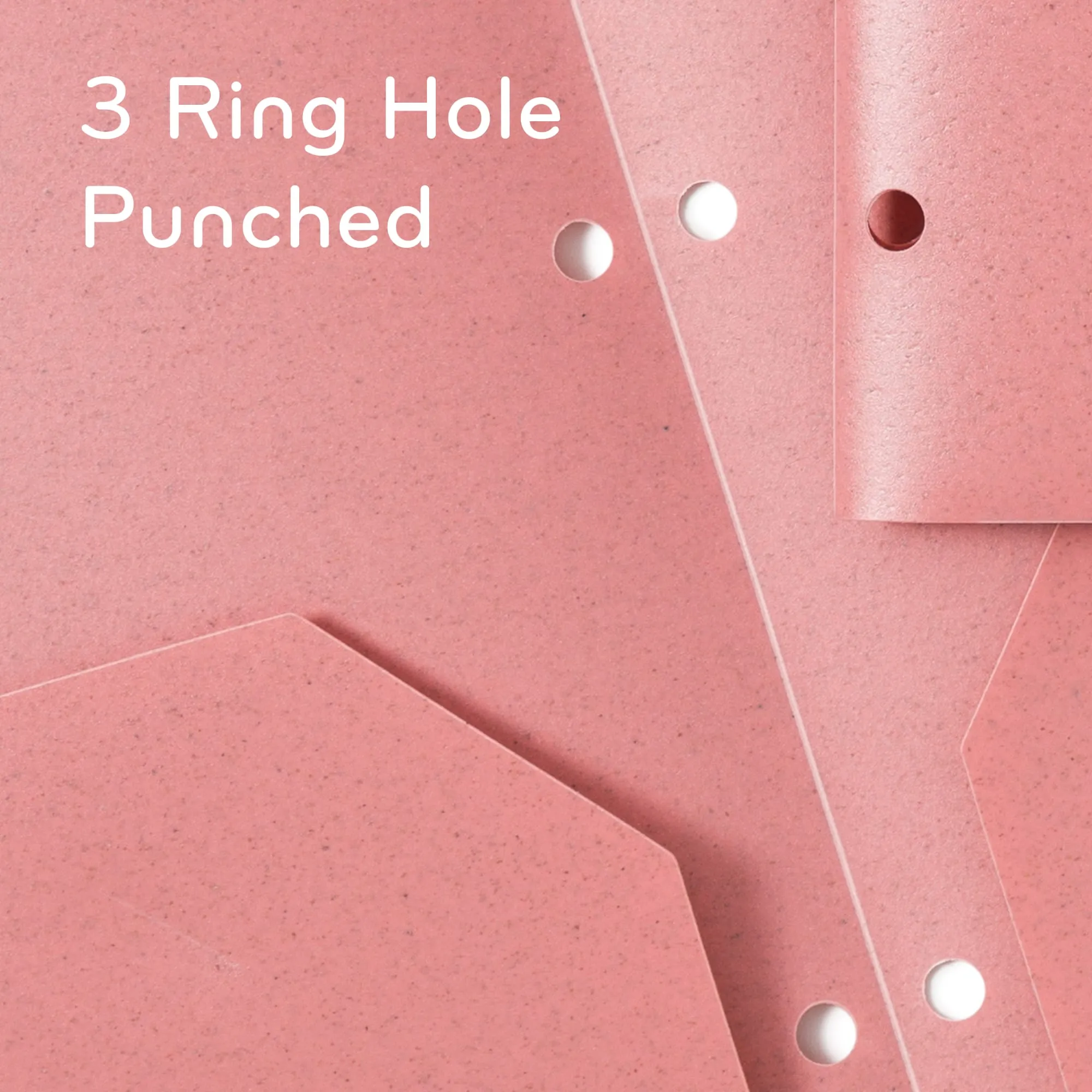 Speckled Bright Poly 2 Pocket 3-Hole Punch Folders, 12 CT Assorted Colors