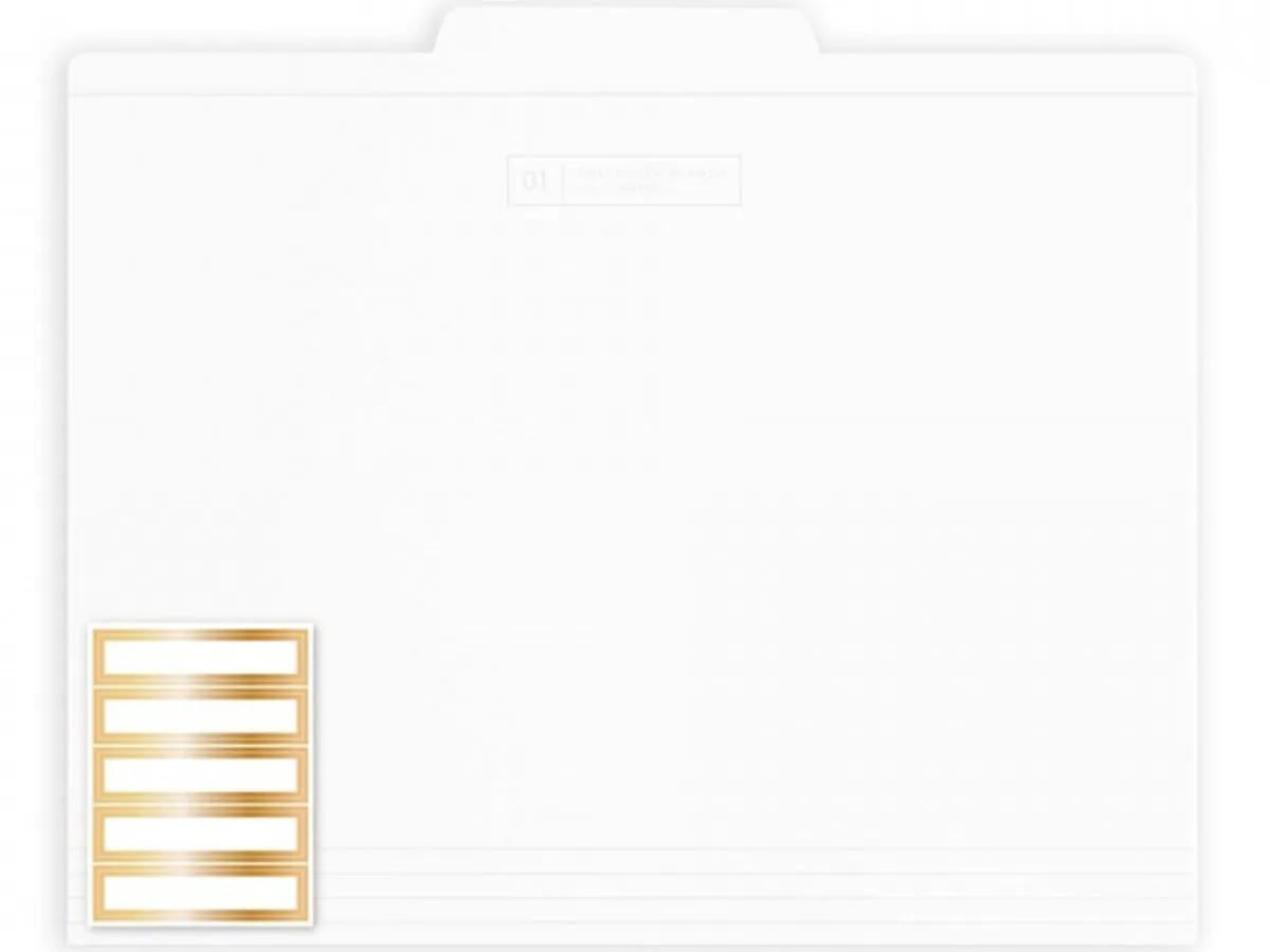 White File Folders, Set of 12